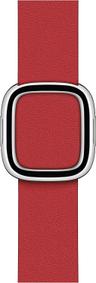 Apple Watch Modern Buckle Band (40mm)
