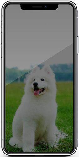 Nuglas (2 unidades) Protector de Pantalla de Cristal Templado Plano de Privacidad para iPhone 11 Pro Max/ XS Max reacondicionado - Reebelo España